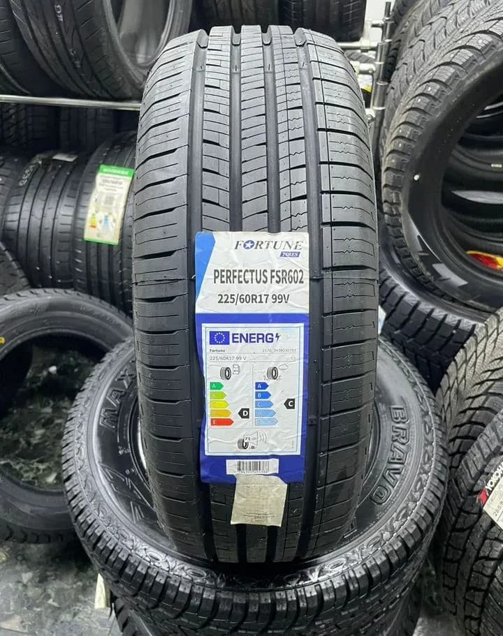 Fortune FSR602 225/60 R17 99V